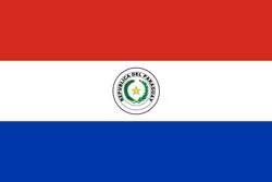 巴拉圭 图标